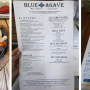 Blue Agave
